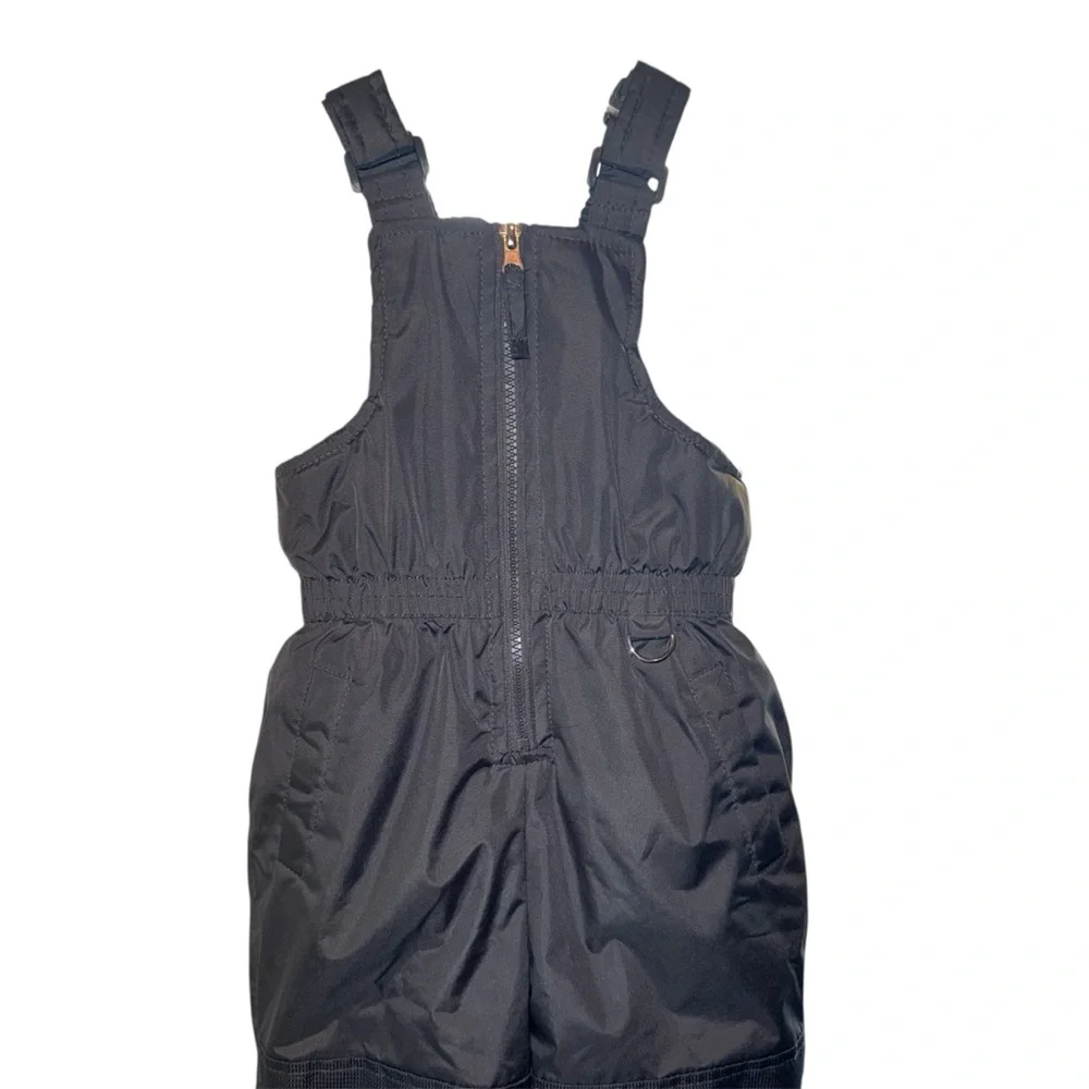 Pink Platinum Snow Overalls